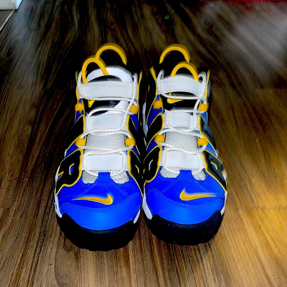 Nike Air pippen